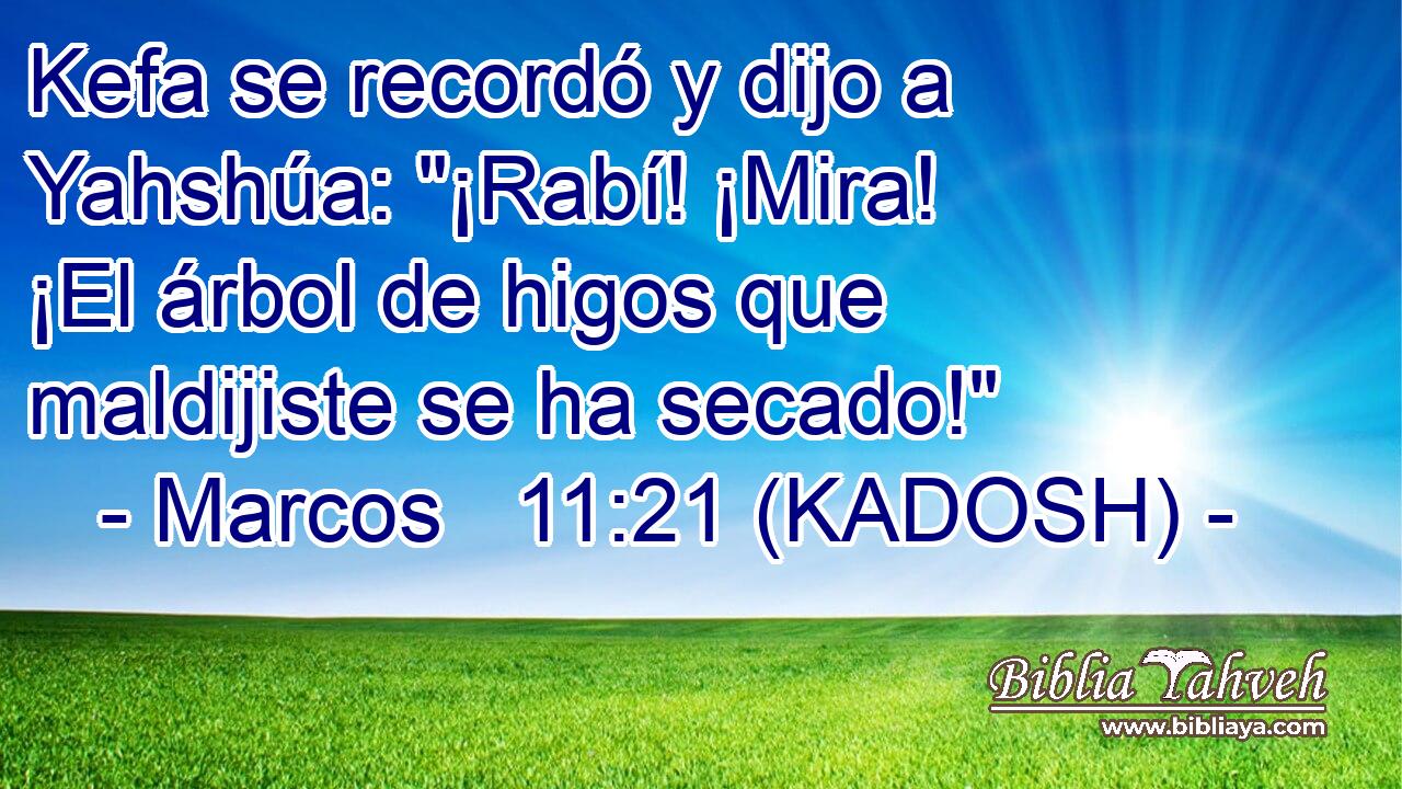  Kefa se recordó y dijo a Yahshúa: 