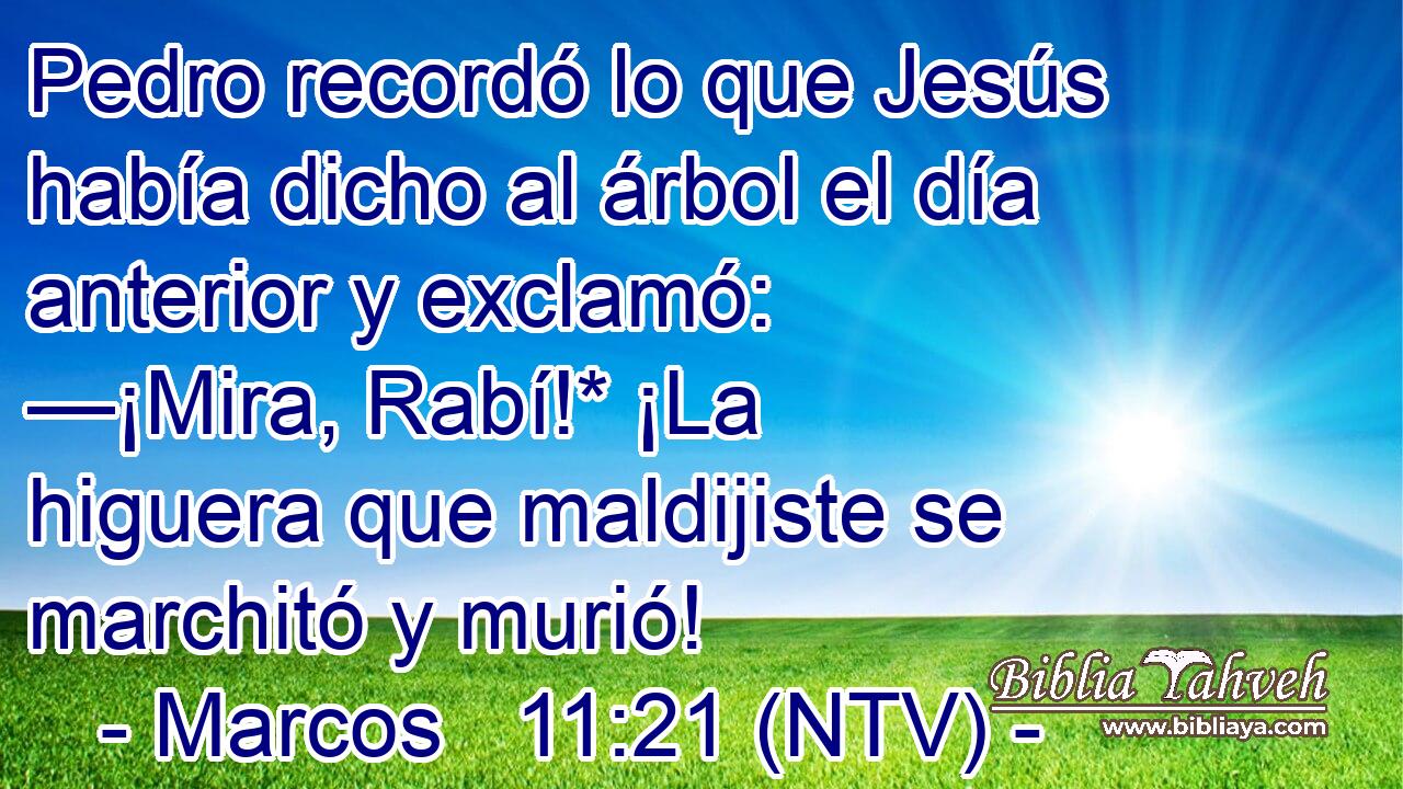 Pedro recordó lo que Jesús había dicho al árbol el día anterior y exclamó: —¡Mira, Rabí!* ¡La higuera que maldijiste se marchitó y murió!