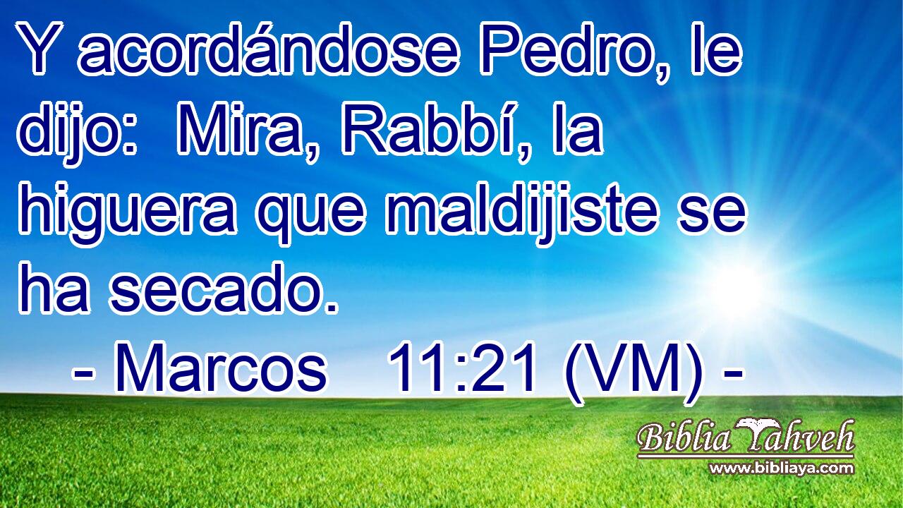  Y acordándose Pedro, le dijo:  Mira, Rabbí, la higuera que maldijiste se ha secado. 