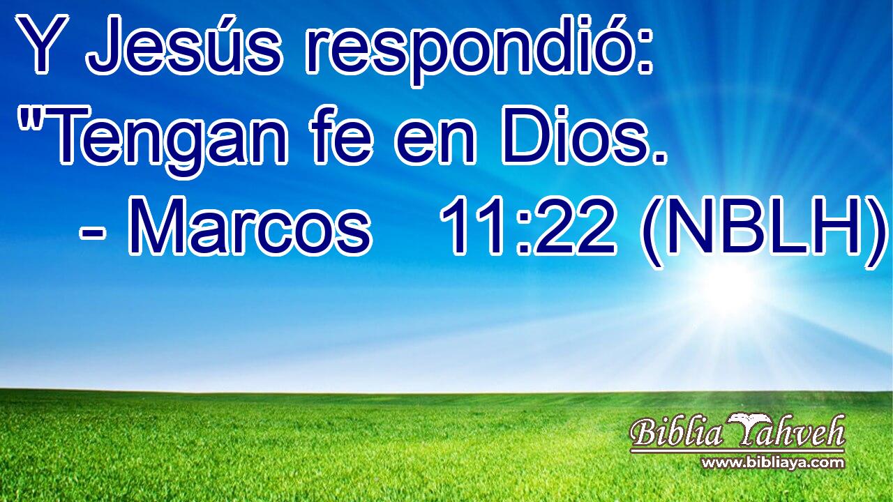  Y Jesús respondió: 