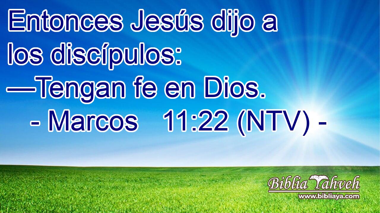 Entonces Jesús dijo a los discípulos: —Tengan fe en Dios.