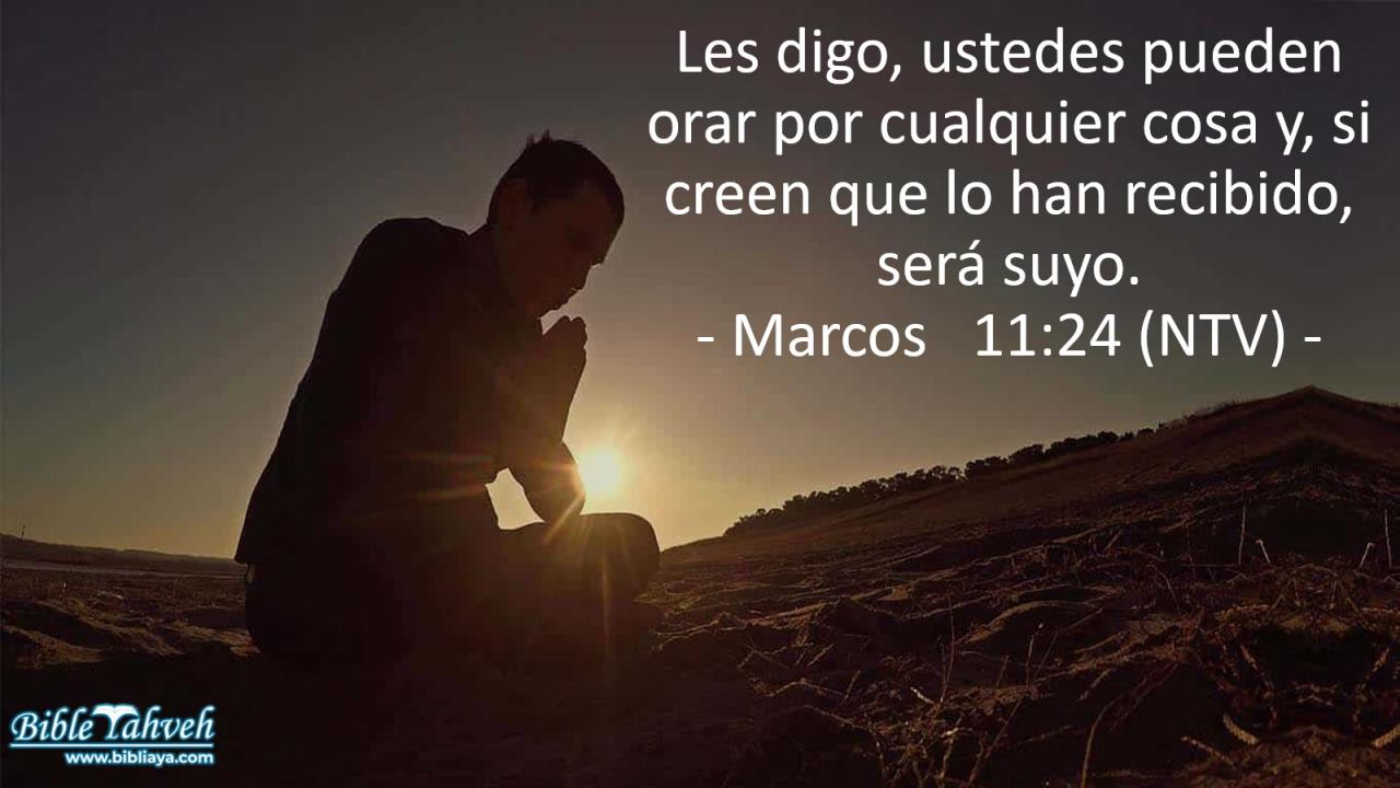 Les digo, ustedes pueden orar por cualquier cosa y, si creen que lo han recibido, será suyo.