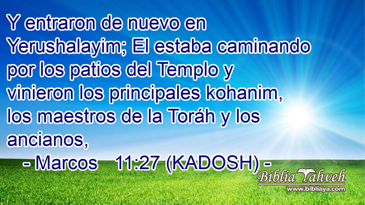  Y entraron de nuevo en Yerushalayim; El estaba caminando por los patios del Templo y vinieron los principales kohanim, los maestros de la Toráh y los ancianos, 