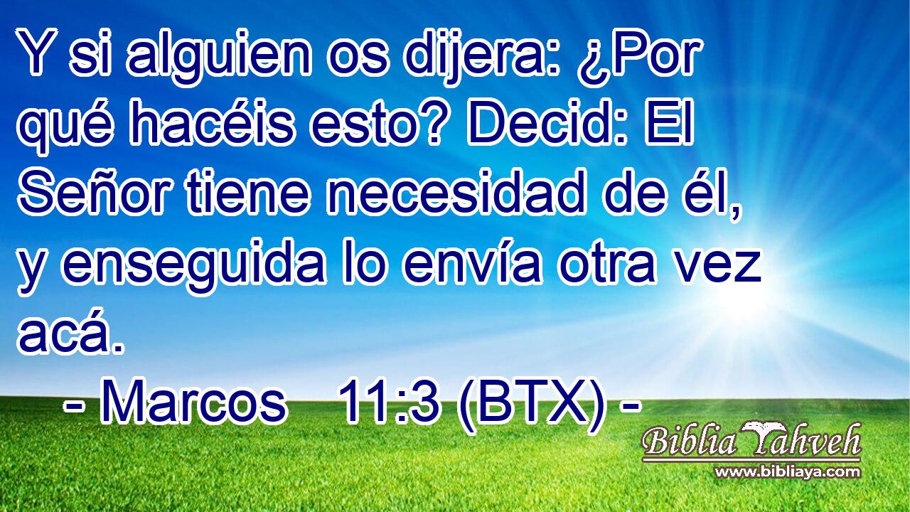 Y si alguien os dijera: ¿Por qué hacéis esto? Decid: El Señor tiene necesidad de él, y enseguida lo envía otra vez acá.
