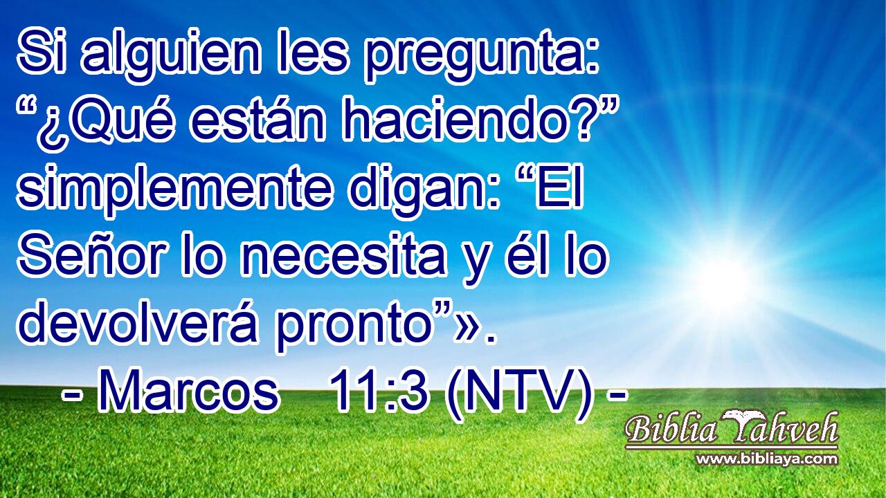 Si alguien les pregunta: “¿Qué están haciendo?” simplemente digan: “El Señor lo necesita y él lo devolverá pronto”».