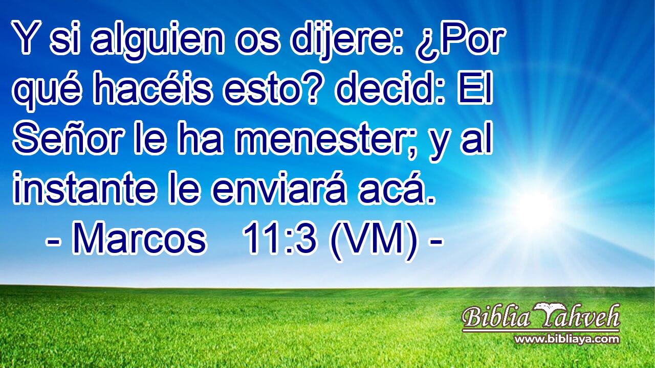  Y si alguien os dijere: ¿Por qué hacéis esto? decid: El Señor le ha menester; y al instante le enviará acá. 