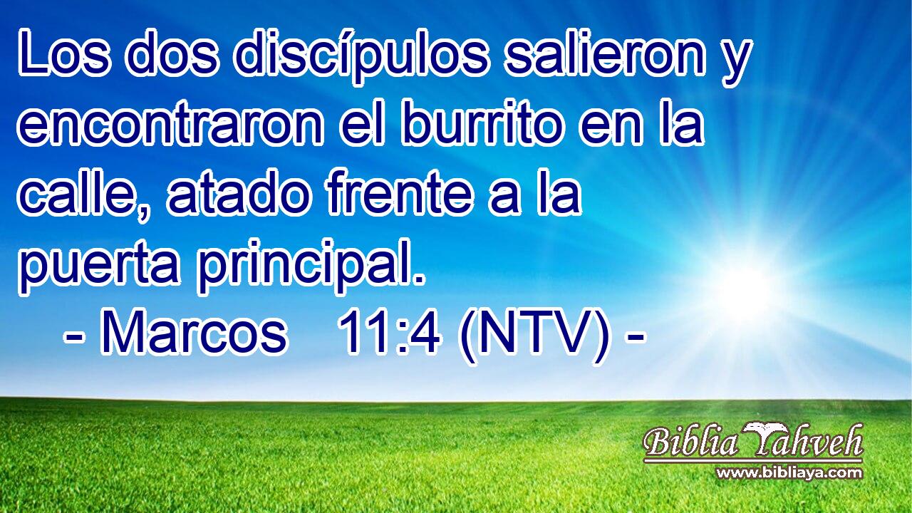 Los dos discípulos salieron y encontraron el burrito en la calle, atado frente a la puerta principal.