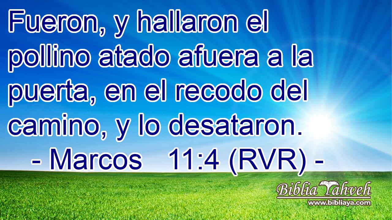 Fueron, y hallaron el pollino atado afuera a la puerta, en el recodo del camino, y lo desataron.