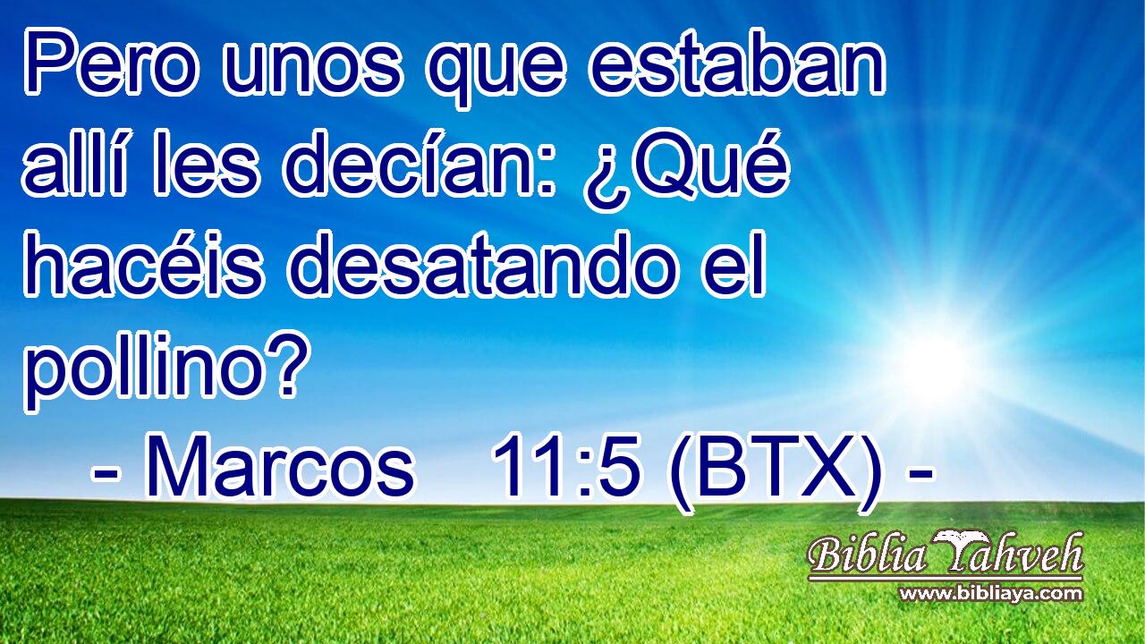 Pero unos que estaban allí les decían: ¿Qué hacéis desatando el pollino?