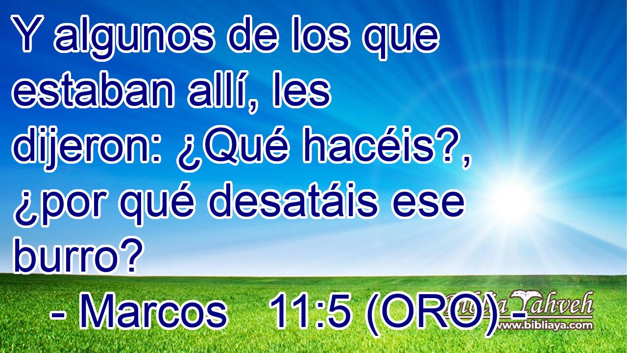  Y algunos de los que estaban allí, les dijeron: ¿Qué hacéis?, ¿por qué desatáis ese burro? 