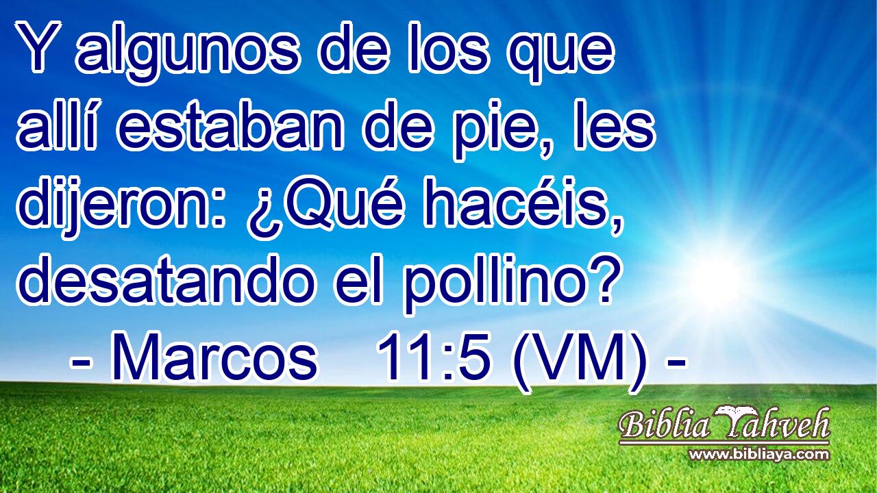  Y algunos de los que allí estaban de pie, les dijeron: ¿Qué hacéis, desatando el pollino? 