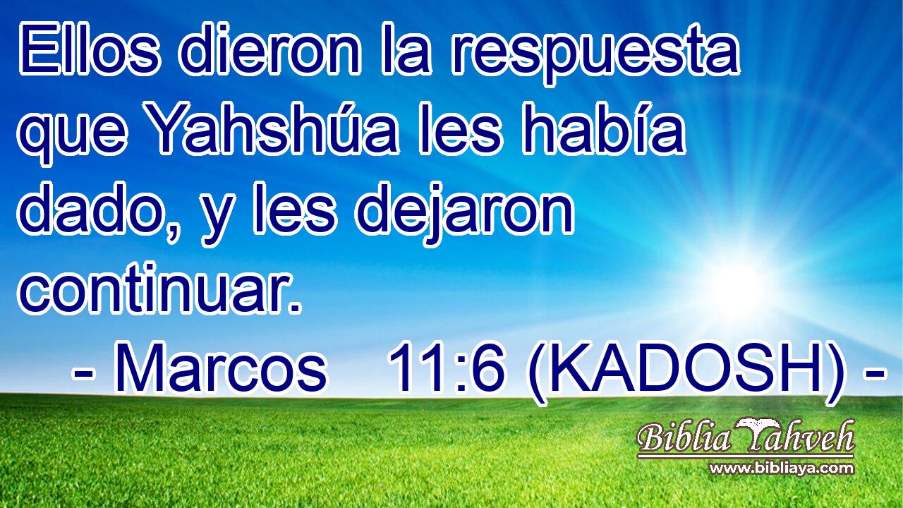  Ellos dieron la respuesta que Yahshúa les había dado, y les dejaron continuar. 