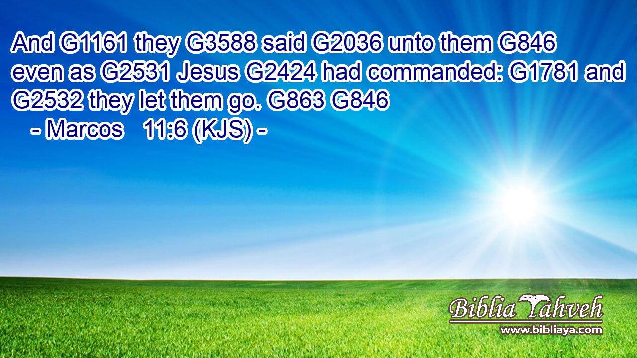 And G1161 they G3588 said G2036 unto them G846 even as G2531 Jesus G2424 had commanded: G1781 and G2532 they let them go. G863 G846