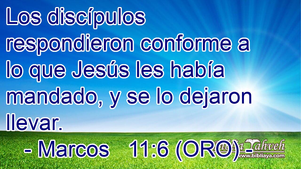  Los discípulos respondieron conforme a lo que Jesús les había mandado, y se lo dejaron llevar. 