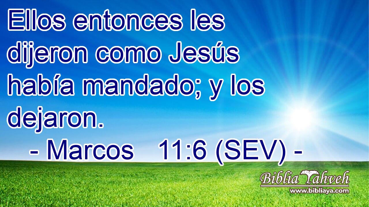 Ellos entonces les dijeron como Jesús había mandado; y los dejaron.