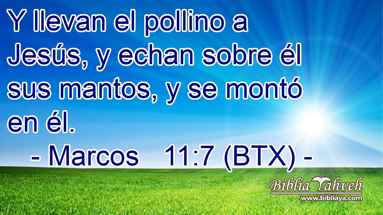 Y llevan el pollino a Jesús, y echan sobre él sus mantos, y se montó en él.