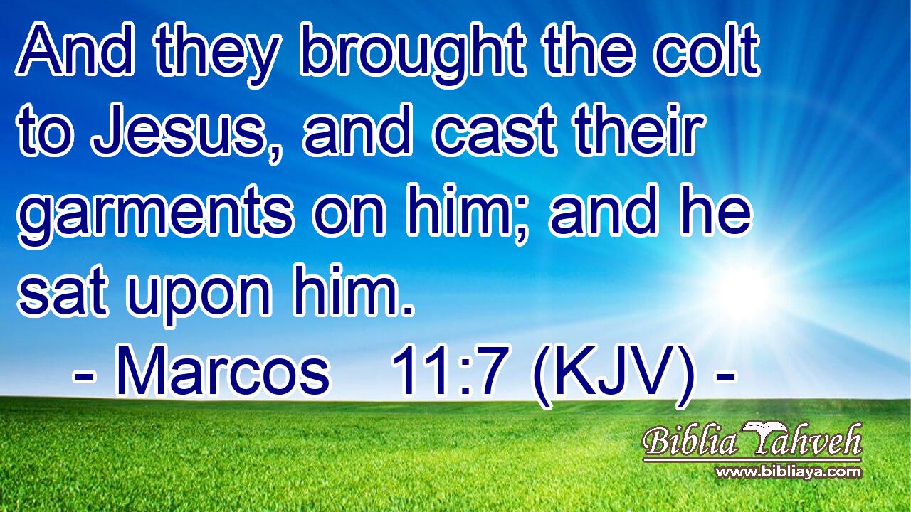 And they brought the colt to Jesus, and cast their garments on him; and he sat upon him.