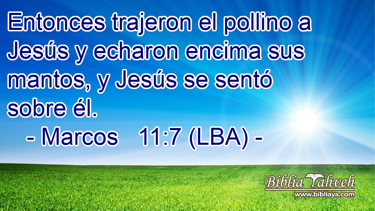 Entonces trajeron el pollino a Jesús y echaron encima sus mantos, y Jesús se sentó sobre él.
