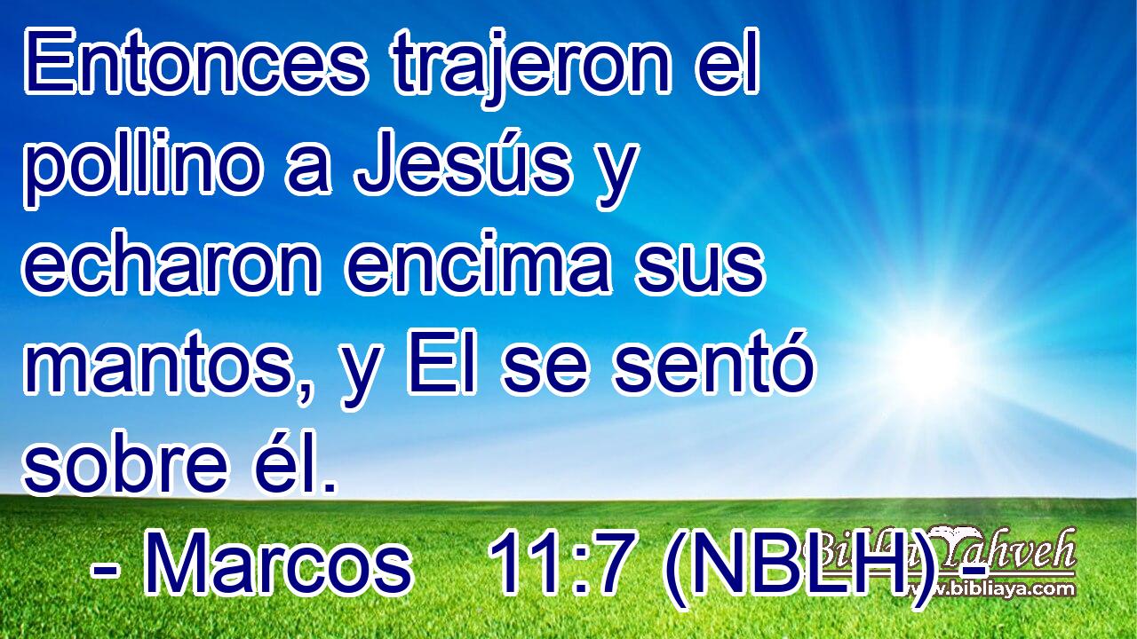  Entonces trajeron el pollino a Jesús y echaron encima sus mantos, y El se sentó sobre él. 