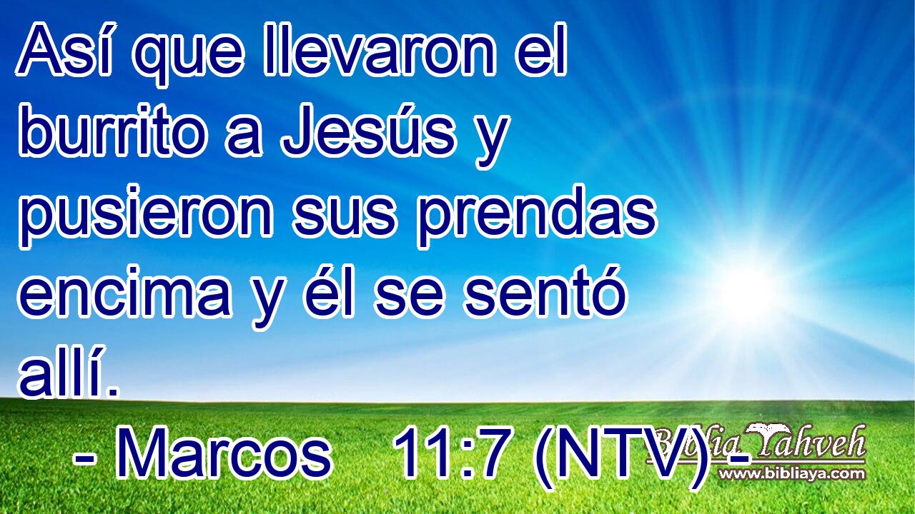 Así que llevaron el burrito a Jesús y pusieron sus prendas encima y él se sentó allí.