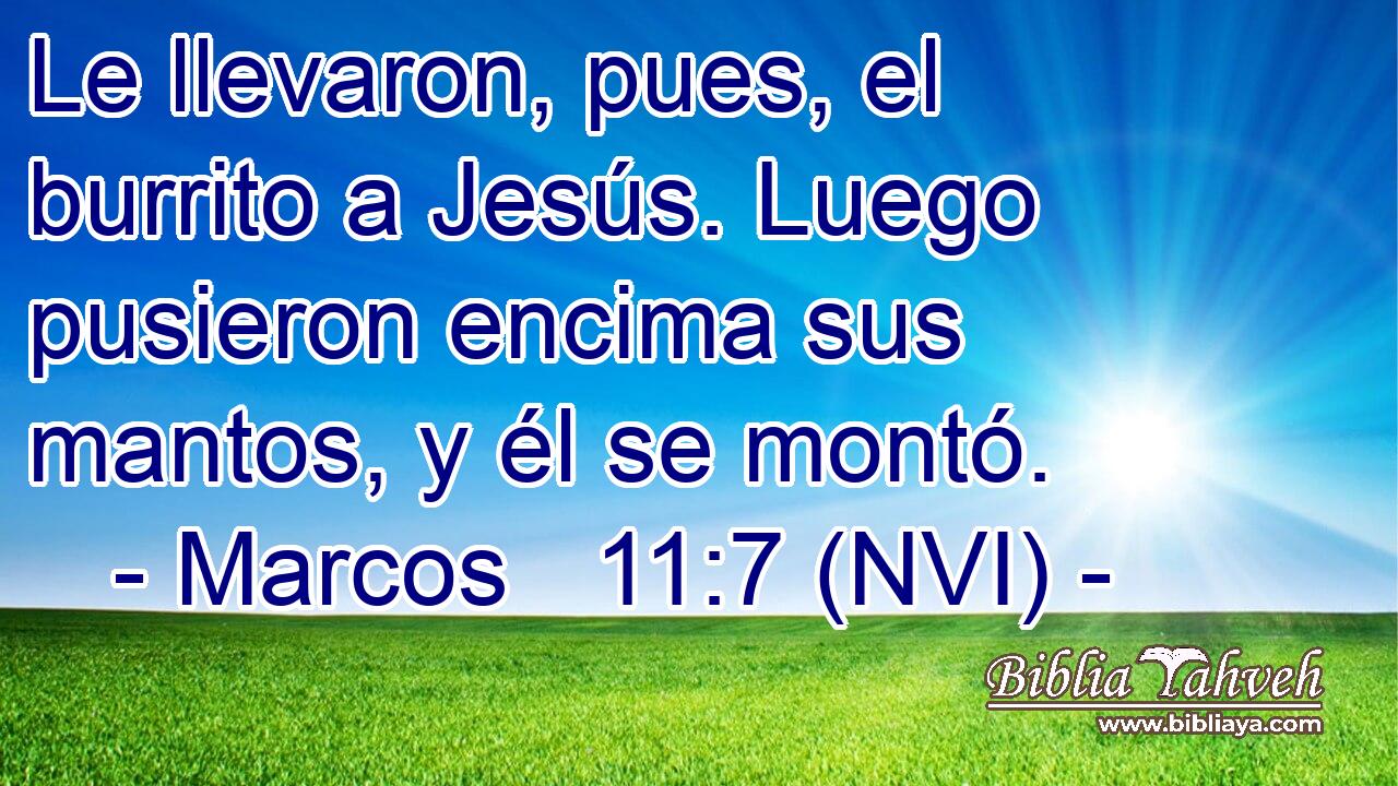  Le llevaron, pues, el burrito a Jesús. Luego pusieron encima sus mantos, y él se montó. 