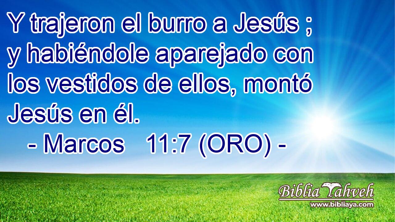  Y trajeron el burro a Jesús ; y habiéndole aparejado con los vestidos de ellos, montó Jesús en él. 
