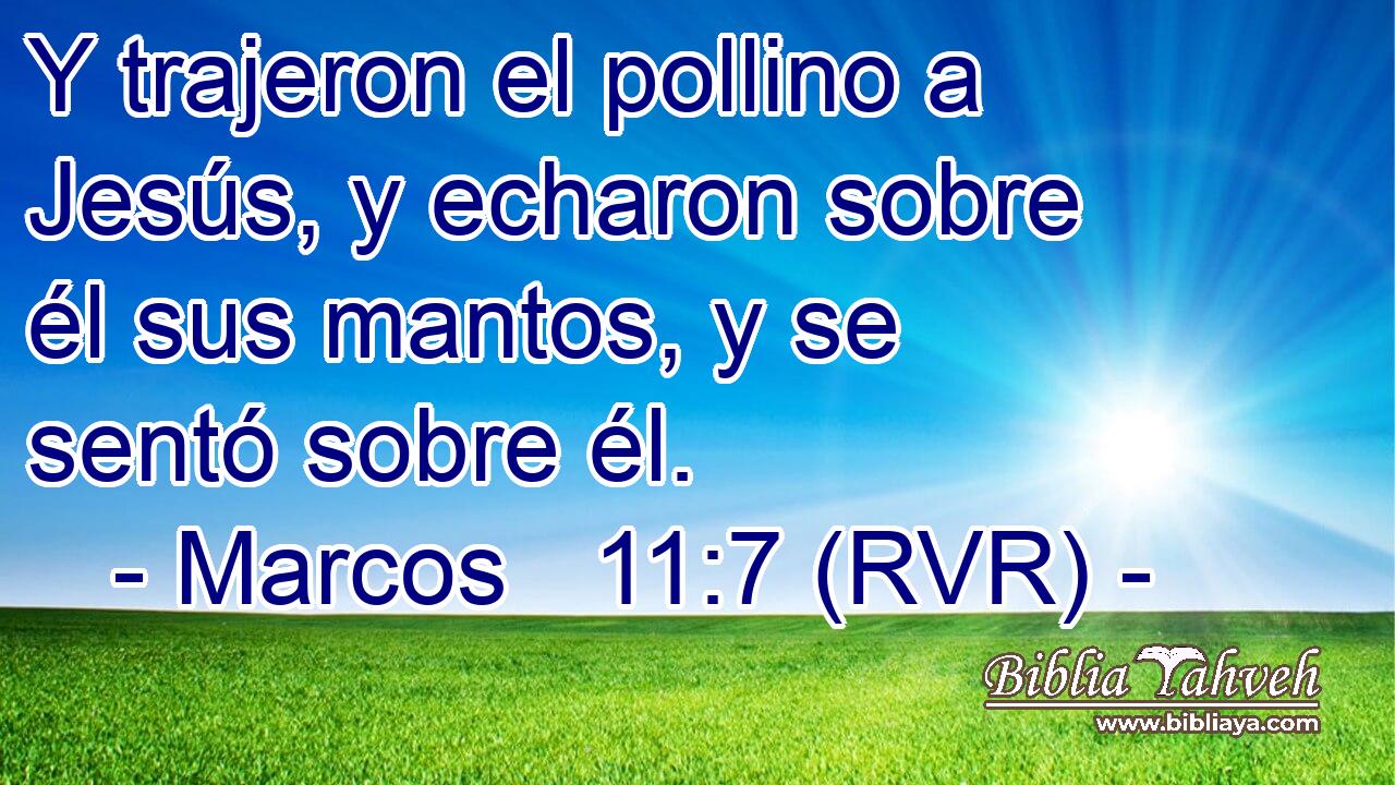 Y trajeron el pollino a Jesús, y echaron sobre él sus mantos, y se sentó sobre él.
