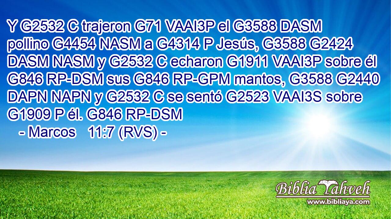 Y G2532 C trajeron G71 VAAI3P el G3588 DASM pollino G4454 NASM a G4314 P Jesús, G3588 G2424 DASM NASM y G2532 C echaron G1911 VAAI3P sobre él G846 RP-DSM sus G846 RP-GPM mantos, G3588 G2440 DAPN NAPN y G2532 C se sentó G2523 VAAI3S sobre G1909 P él. G846 RP-DSM 