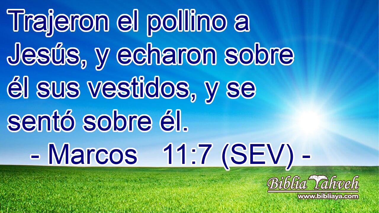 Trajeron el pollino a Jesús, y echaron sobre él sus vestidos, y se sentó sobre él.
