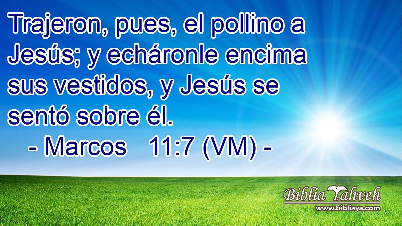  Trajeron, pues, el pollino a Jesús; y echáronle encima sus vestidos, y Jesús se sentó sobre él. 