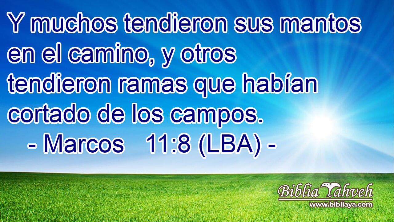 Y muchos tendieron sus mantos en el camino, y otros tendieron ramas que habían cortado de los campos.