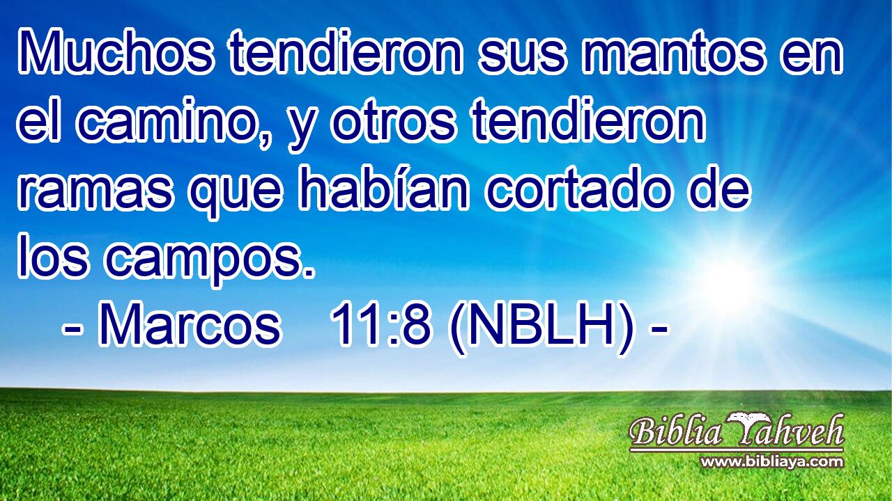  Muchos tendieron sus mantos en el camino, y otros tendieron ramas que habían cortado de los campos. 
