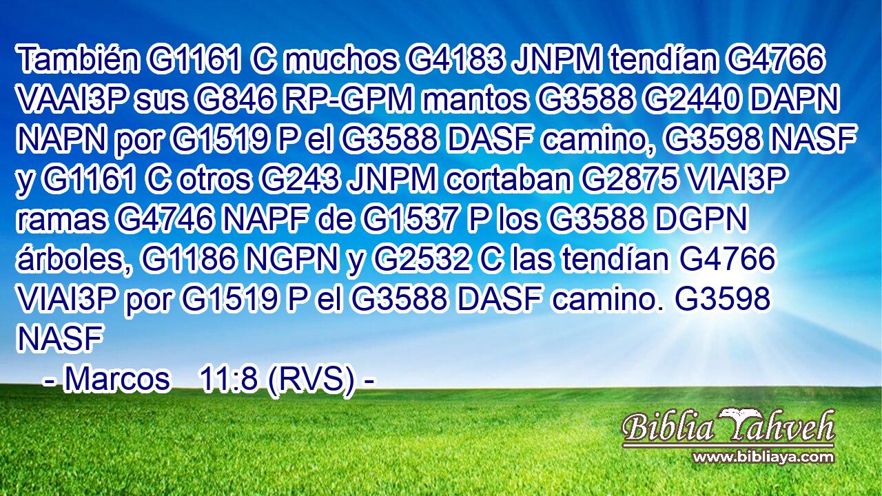 También G1161 C muchos G4183 JNPM tendían G4766 VAAI3P sus G846 RP-GPM mantos G3588 G2440 DAPN NAPN por G1519 P el G3588 DASF camino, G3598 NASF y G1161 C otros G243 JNPM cortaban G2875 VIAI3P ramas G4746 NAPF de G1537 P los G3588 DGPN árboles, G1186 NGPN y G2532 C las tendían G4766 VIAI3P por G1519 P el G3588 DASF camino. G3598 NASF 