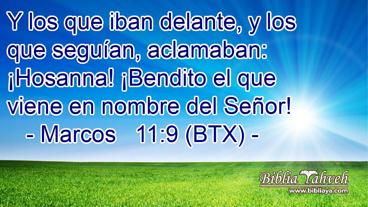 Y los que iban delante, y los que seguían, aclamaban: ¡Hosanna! ¡Bendito el que viene en nombre del Señor!