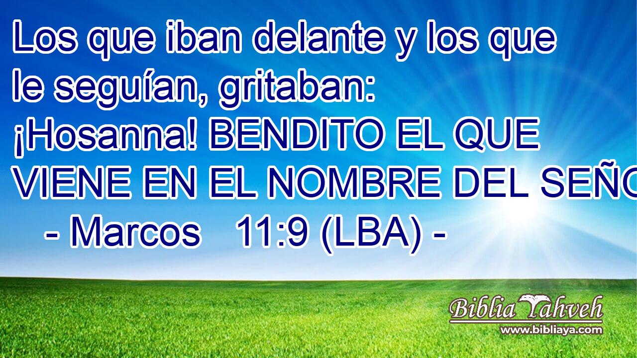 Los que iban delante y los que le seguían, gritaban: ¡Hosanna! BENDITO EL QUE VIENE EN EL NOMBRE DEL SEÑOR;