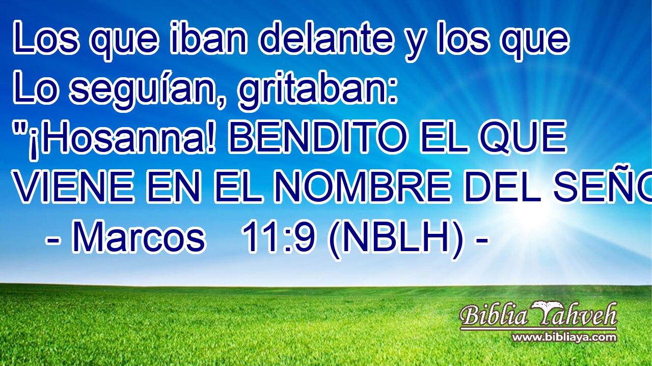  Los que iban delante y los que Lo seguían, gritaban: 