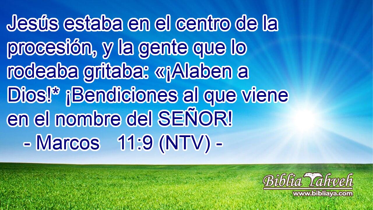 Jesús estaba en el centro de la procesión, y la gente que lo rodeaba gritaba: «¡Alaben a Dios!* ¡Bendiciones al que viene en el nombre del SEÑOR!
