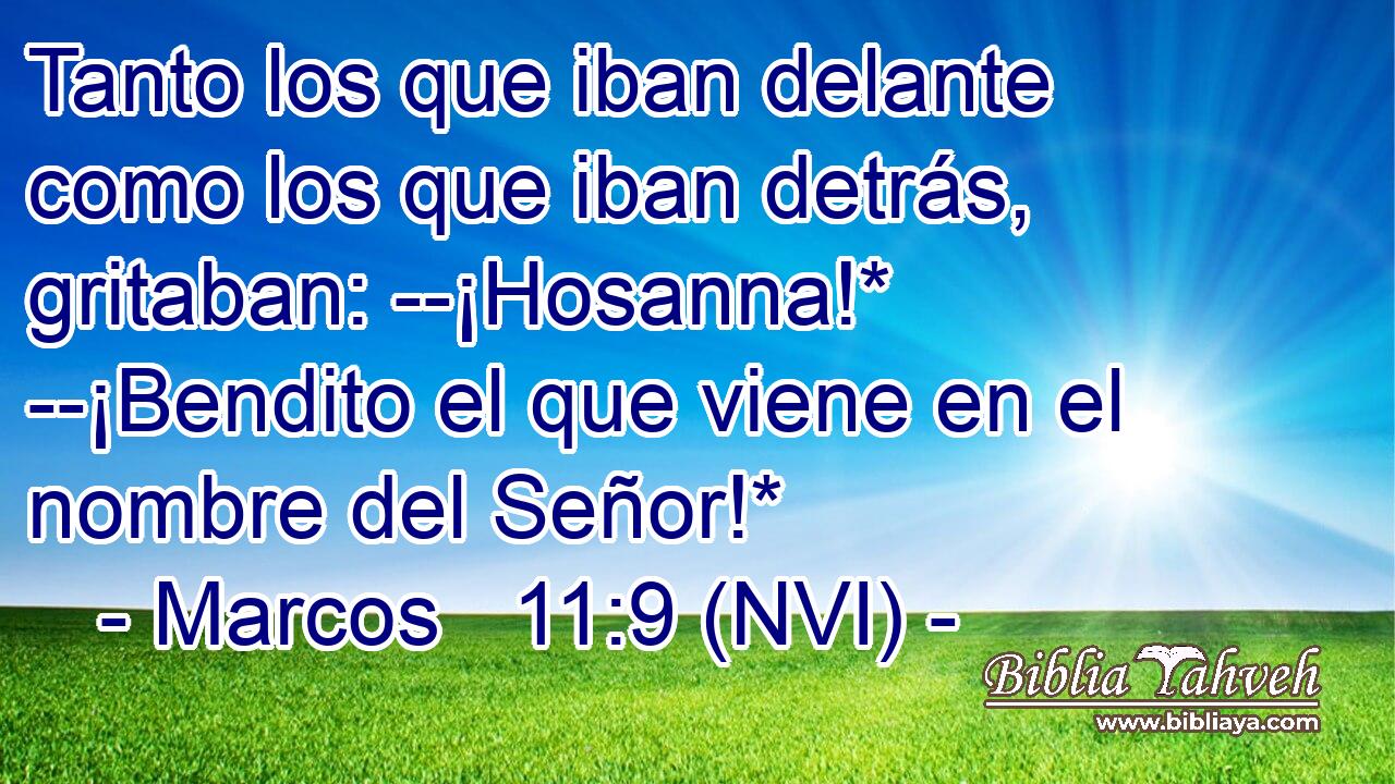 Tanto los que iban delante como los que iban detrás, gritaban: --¡Hosanna!* --¡Bendito el que viene en el nombre del Señor!* 