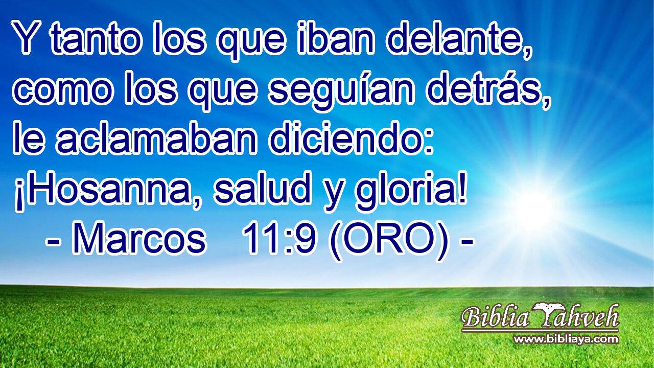  Y tanto los que iban delante, como los que seguían detrás, le aclamaban diciendo: ¡Hosanna, salud y gloria! 