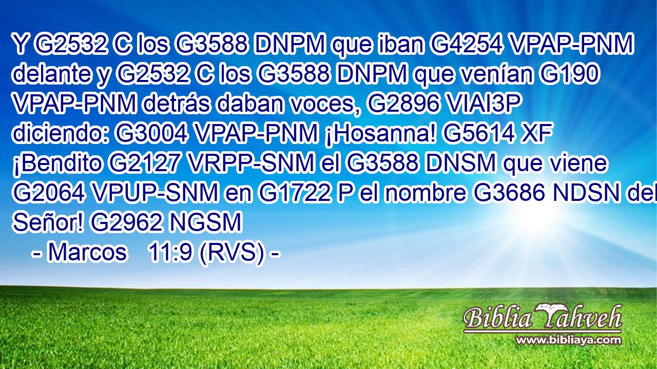 Y G2532 C los G3588 DNPM que iban G4254 VPAP-PNM delante y G2532 C los G3588 DNPM que venían G190 VPAP-PNM detrás daban voces, G2896 VIAI3P diciendo: G3004 VPAP-PNM ¡Hosanna! G5614 XF ¡Bendito G2127 VRPP-SNM el G3588 DNSM que viene G2064 VPUP-SNM en G1722 P el nombre G3686 NDSN del Señor! G2962 NGSM 