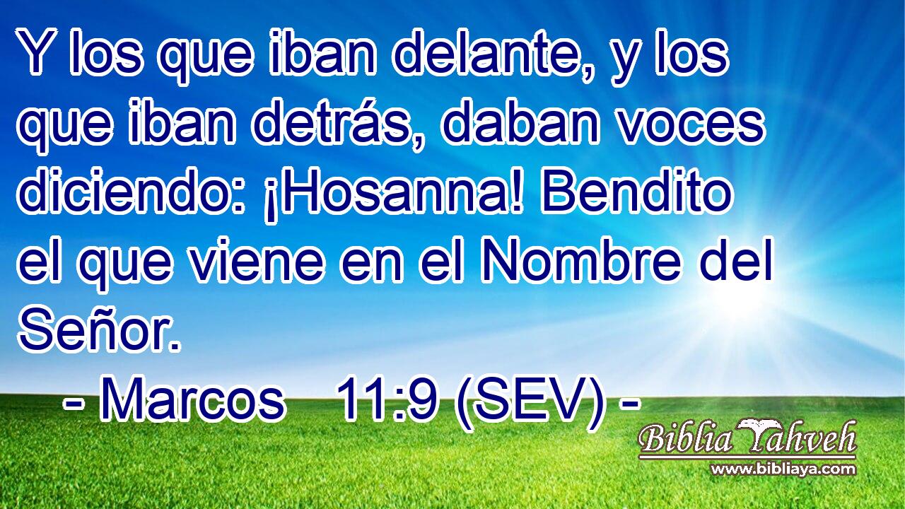 Y los que iban delante, y los que iban detrás, daban voces diciendo: ¡Hosanna! Bendito el que viene en el Nombre del Señor.