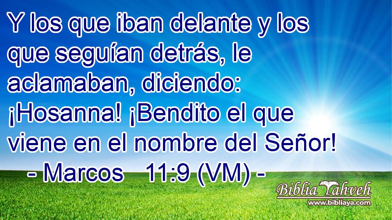  Y los que iban delante y los que seguían detrás, le aclamaban, diciendo: ¡Hosanna! ¡Bendito el que viene en el nombre del Señor! 