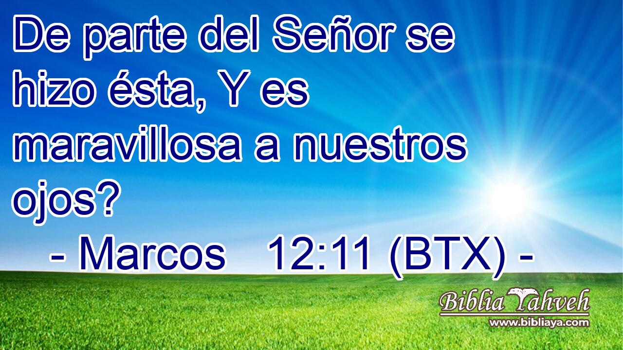 De parte del Señor se hizo ésta, Y es maravillosa a nuestros ojos?