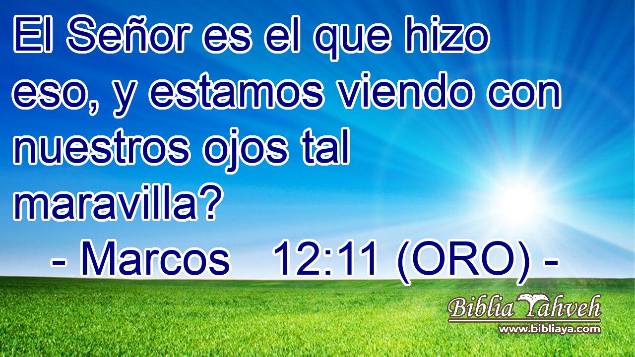  El Señor es el que hizo eso, y estamos viendo con nuestros ojos tal maravilla? 
