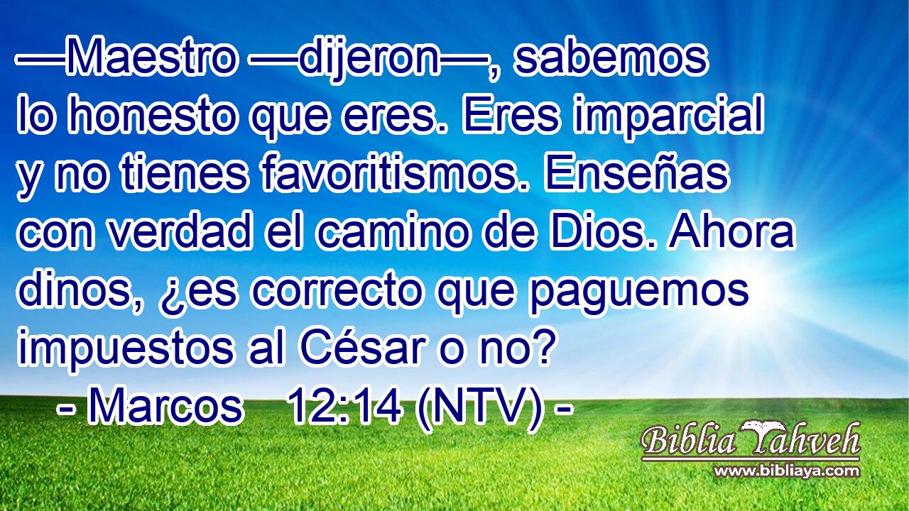 —Maestro —dijeron—, sabemos lo honesto que eres. Eres imparcial y no tienes favoritismos. Enseñas con verdad el camino de Dios. Ahora dinos, ¿es correcto que paguemos impuestos al César o no?