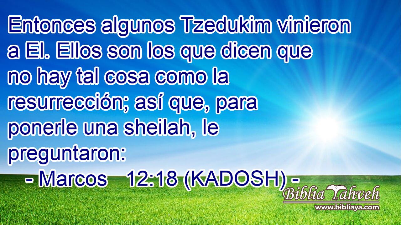  Entonces algunos Tzedukim vinieron a El. Ellos son los que dicen que no hay tal cosa como la resurrección; así que, para ponerle una sheilah, le preguntaron: 