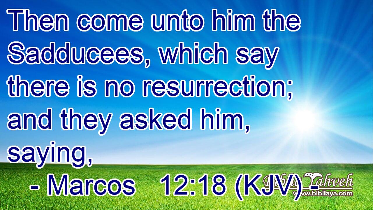 Then come unto him the Sadducees, which say there is no resurrection; and they asked him, saying,