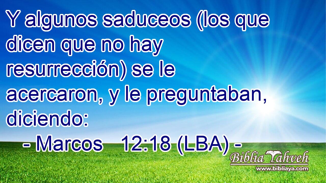 Y algunos saduceos (los que dicen que no hay resurrección) se le acercaron, y le preguntaban, diciendo: