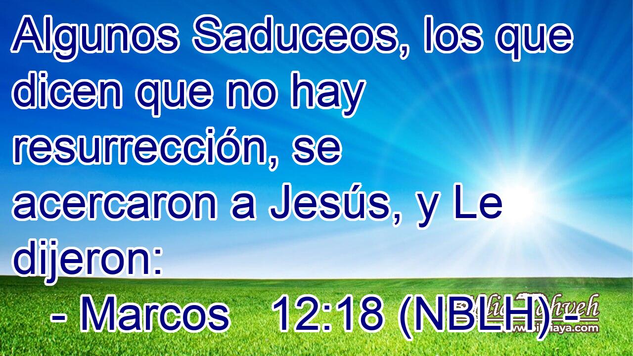  Algunos Saduceos, los que dicen que no hay resurrección, se acercaron a Jesús, y Le dijeron: 