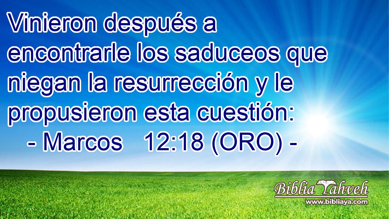  Vinieron después a encontrarle los saduceos que niegan la resurrección y le propusieron esta cuestión: 